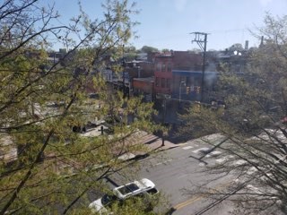 a car parked on the street next to a tree
